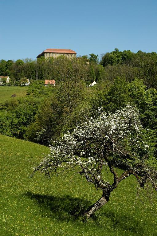 Gasthof Adler Schillingsfürst Dış mekan fotoğraf